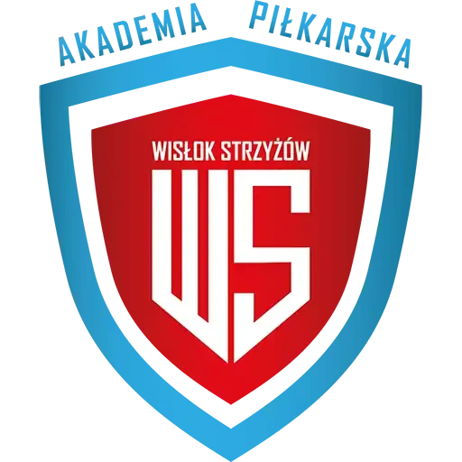 cropped AP Wislok Strzyzow Logo Akademia 512